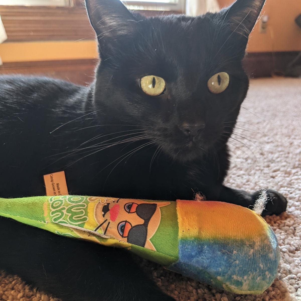 Get Chilled Refillable Snow Cone - Meowijuana - A Catnip Company