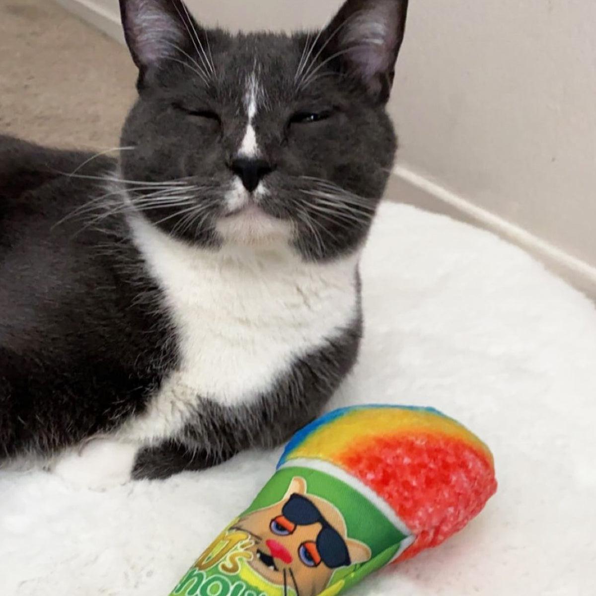 Get Chilled Refillable Snow Cone - Meowijuana - A Catnip Company