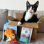Jump 'n' Jamb - Deep Sea Squid - Refillable Catnip Swinging Toy