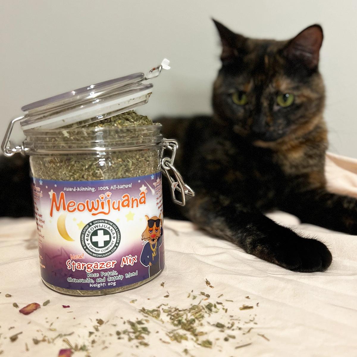 Jar of Stargazer Mix - Catnip, Rose Petals & Chamomile Blend - Meowijuana - A Catnip Company