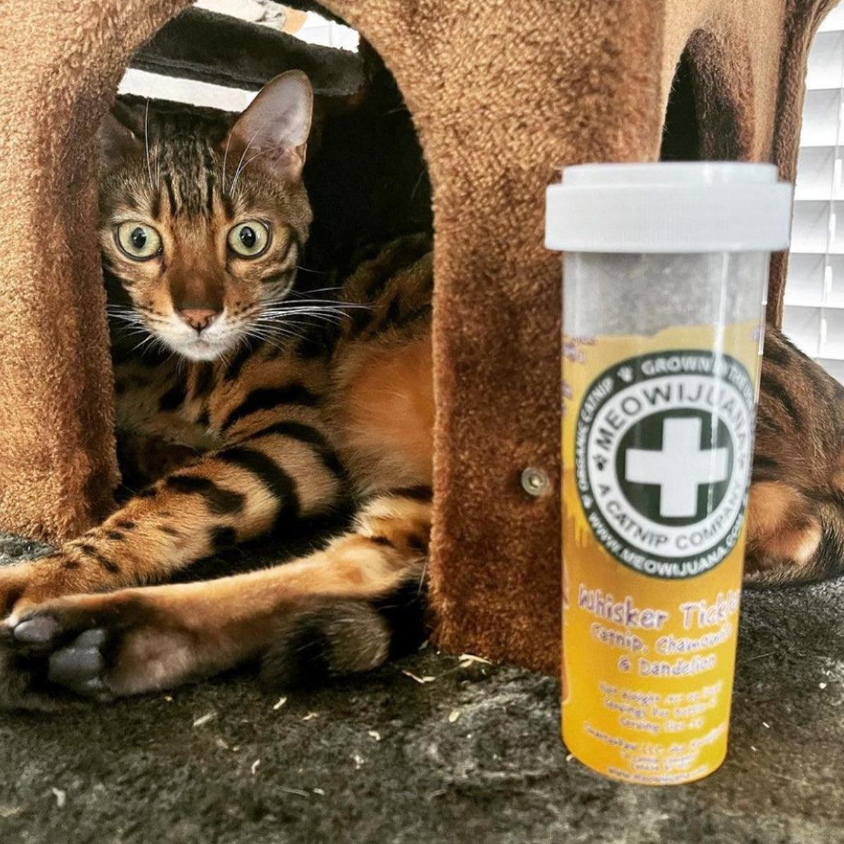 Whisker Tickler - Chamomile, Dandelion & Catnip Blend