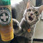 Whisker Tickler - Chamomile, Dandelion & Catnip Blend - Meowijuana - A Catnip Company