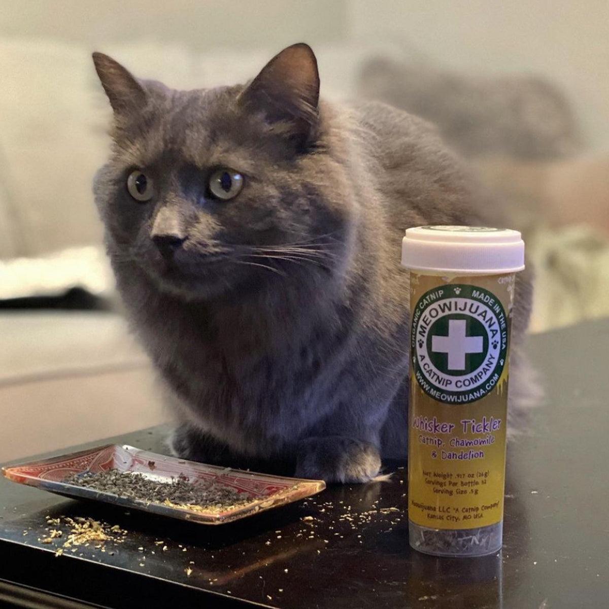 Whisker Tickler - Chamomile, Dandelion & Catnip Blend - Meowijuana - A Catnip Company